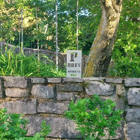 Apartma Brin